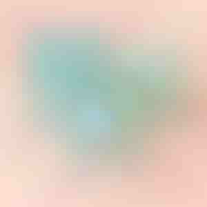 Blaue Box mit Rose | BLUEBOX