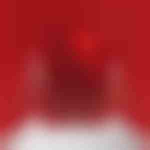 Schmuckkästchen mit rotierendem Bär | ROSBEAR