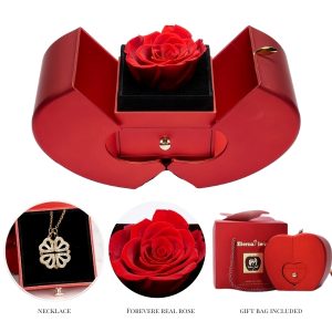 Klee-Halskette 2in1 und Geschenkbox | CLOVERIE_APPLEROSE