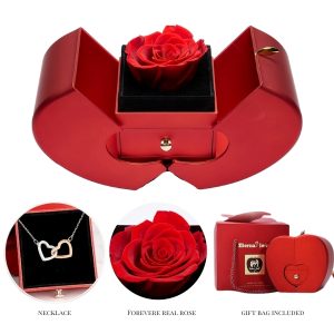 Halskette in Geschenkbox | HEARTS_APPLEROSE