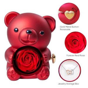 HEARTS-Halskette und sich drehender Bär-Schmuckkästchen | HEARTS_ROSBEAR