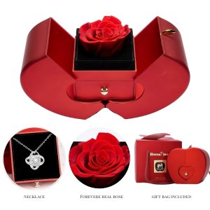Halskette in Geschenkbox | LK_APPLEROSE